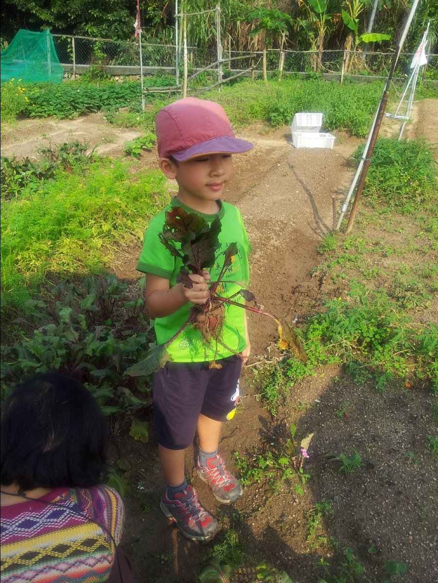 20120422Organic Farm23